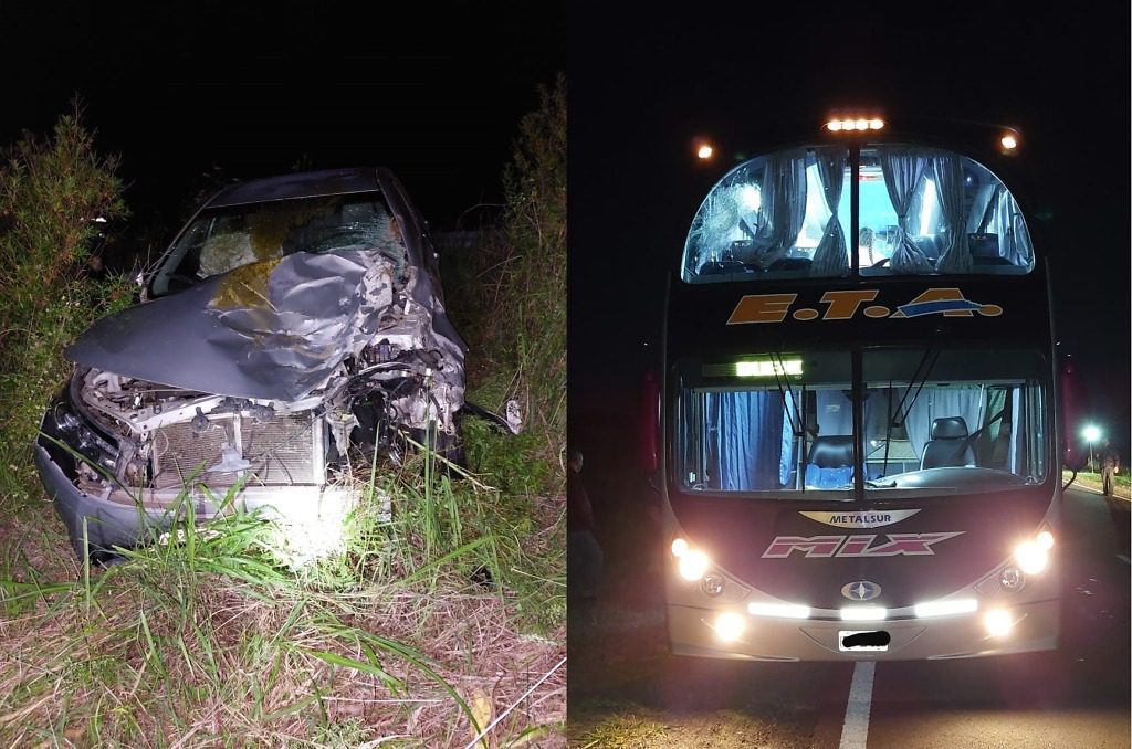Un automóvil chocó de frente con un animal vacuno que estaba sobre la ruta