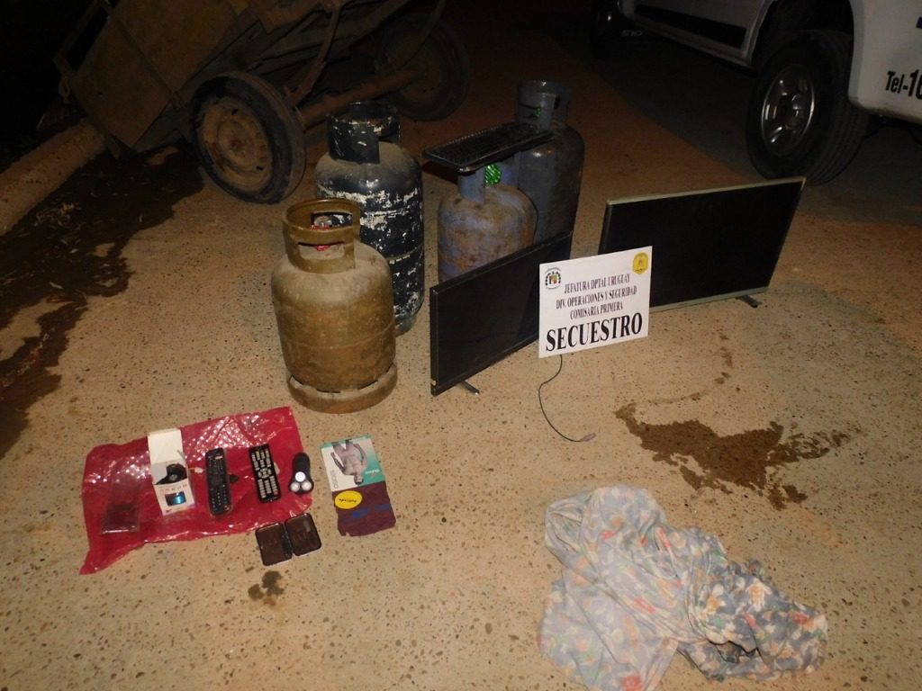 Recuperan elementos para establecer su propiedad