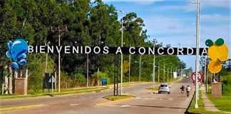 Arcos de seguridad y lectores de patentes en los ingresos a concordia