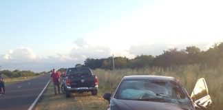 Una pareja circulaba por ruta Provincial 6 y colisiona con dos caballos