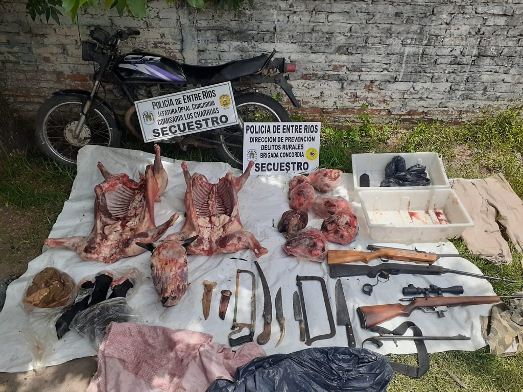 Allanamiento por abigeato y quedo detenido por tenencia ilegal de arma de fuego