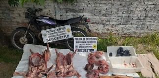 Allanamiento por abigeato y quedo detenido por tenencia ilegal de arma de fuego