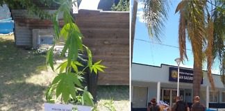 San Salvador: Allanamientos y requisas personales y detención