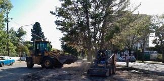 Remodelan las plazoletas del Bv. Yrigoyen en su segunda etapa