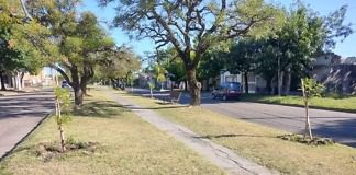 Ya se plantaron más de mil árboles en Concepción del Uruguay