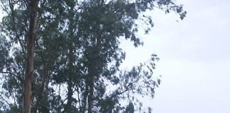 Un auto despistó en zona pronunciamiento