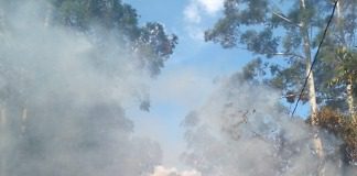 Incendio en zona rural ejido colón