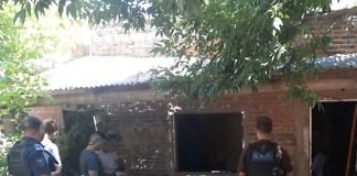 En un allanamiento se encontraron con seis plantas de marihuana