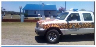 Denunció la faltante de animales y estaban en su propio campo