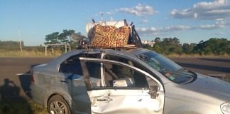 Continúan los despistes en la Autovía