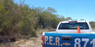 Un auto despisto y termino entre los pastizales