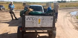 Gualeguaychú: Detienen a cazadores con ocho perros cazando especies protegidas