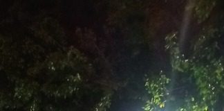 Feroz golpiza recibió una mujer de su expareja