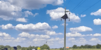 Dos hombres murieron en un nuevo accidente en la ruta 127