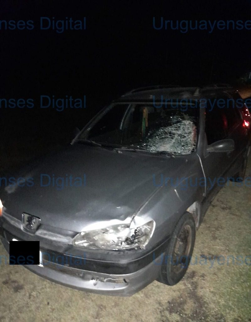 Una mujer falleció en Ruta Nacional 18 al ser atropellada