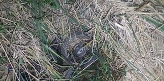 Autovía: Choque en entre un auto y una moto, uno de los motociclistas presenta lesiones graves