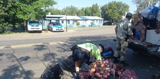 Intervención a la ley provincial N° 4841 por caza ilegal