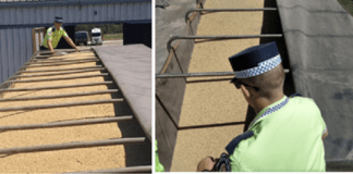 Secuestraron 60 toneladas de soja por evasión fiscal no declarados