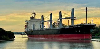 Comenzó a cargar el Tsukuyomi Eternity en el Puerto de Concepción del Uruguay