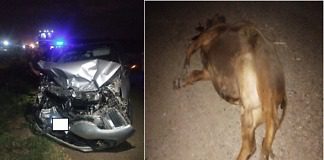 Integrantes del equipo de Liverpool de San José, protagonizaron un siniestro vial