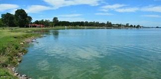 Campaña de prevención sobre floraciones de cianobacterias