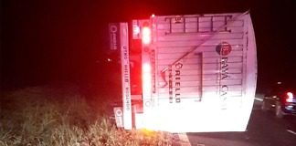 Un camión despistó en las primeras horas de este sábado, en RN12 produciendo demoras en el tránsito