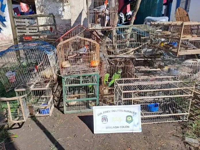 WhatsApp Image 2023-03-16 at 20.35.38