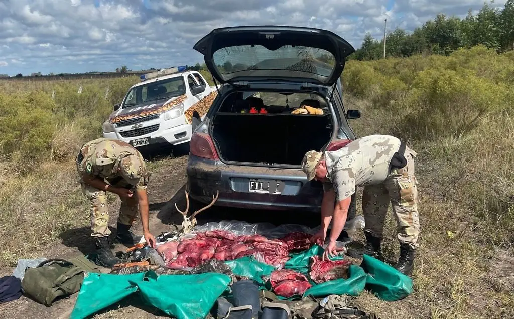Gualeguaychú: En cuatro procedimientos por caza furtiva, identificaron a diez personas