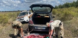 Gualeguaychú: En cuatro procedimientos por caza furtiva, identificaron a diez personas