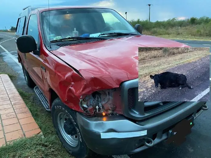 WhatsApp Image 2023-03-21 at 09.05.53