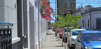 Plantarán 1.750 árboles durante el presente año