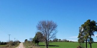 Pronunciamiento: Una mujer denunció un supuesto intento de abuso