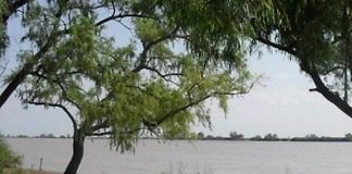 Un joven de nacionalidad paraguaya se ahogó en un arroyo