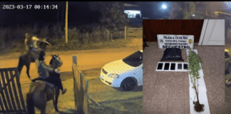 Allanamientos a raíz de varios masculinos montados a caballo, un detenido y secuestro de planta de cannabis