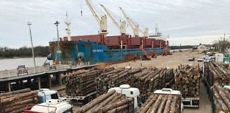 Capacitarán virtualmente sobre comercio exterior