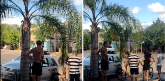 Colón: Un hombre fue detenido por el robo de un vehículo