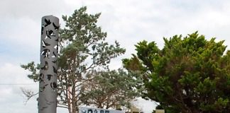 Organizan variadas actividades en el marco del Día Nacional de la Memoria