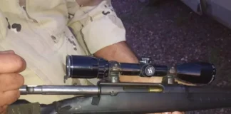 Detectan caza ilegal en el ejido de Viale