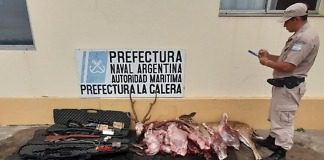Prefectura Colón decomisó animales y armas en un control