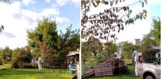 Se realizó un bloqueo preventivo de Dengue