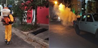 Se Intensifican acciones sanitarias en prevención del Dengue