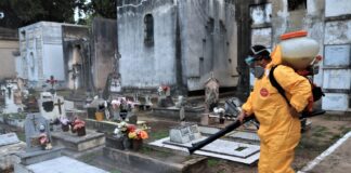 La Municipalidad de Colón realiza fumigaciones, descacharrización y fumigaciones específicas para prevenir el Dengue