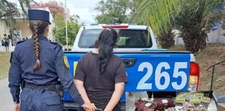 Una mujer fue detenida por sustraer carne y embutidos por un monto de 47 mil pesos
