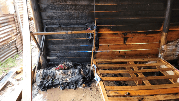 WhatsApp Image 2023-04-06 at 18.20.37