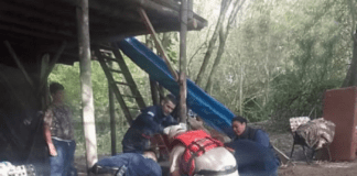 Prefectura y Bomberos asistieron a una persona en la Isla Cambacuá