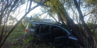 (Mira las imágenes) Despistó y chocó contra un árbol en la Autovía