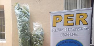 Concordia: Allanamiento en dos viviendas