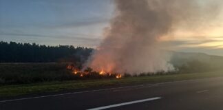 Incendio de pastizales en ruta Nacional 12