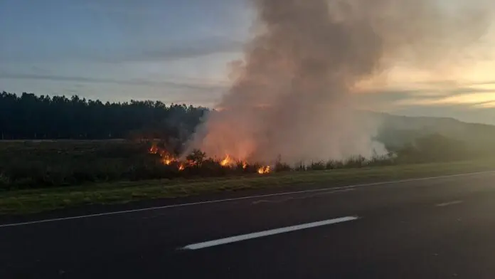 WhatsApp Image 2023-04-21 at 20.58.30