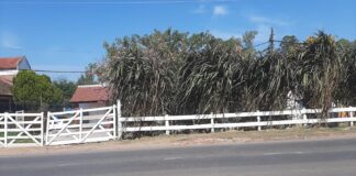 En estado de ebriedad genero disturbios en una ex Whiskería